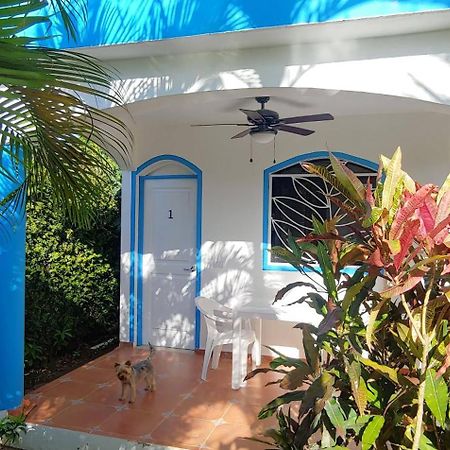 Chambre Bungalow2 Las Terrenas Εξωτερικό φωτογραφία