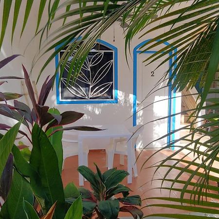 Chambre Bungalow2 Las Terrenas Εξωτερικό φωτογραφία