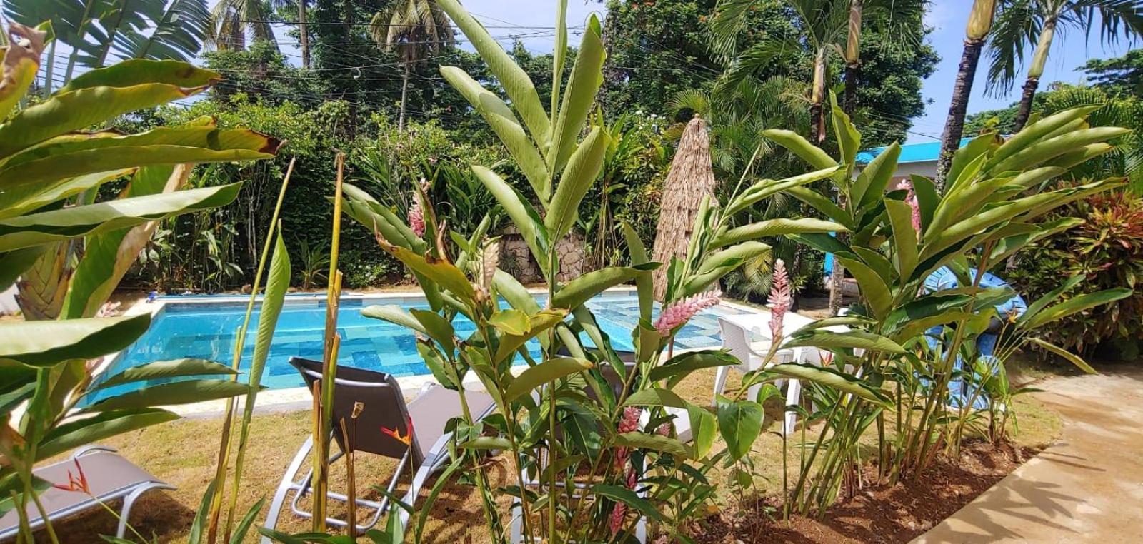 Chambre Bungalow2 Las Terrenas Εξωτερικό φωτογραφία