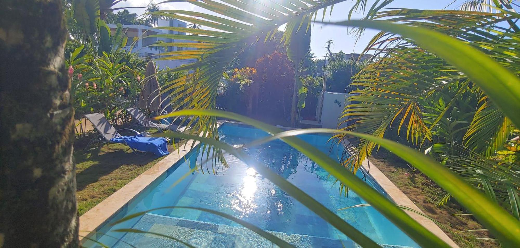 Chambre Bungalow2 Las Terrenas Εξωτερικό φωτογραφία