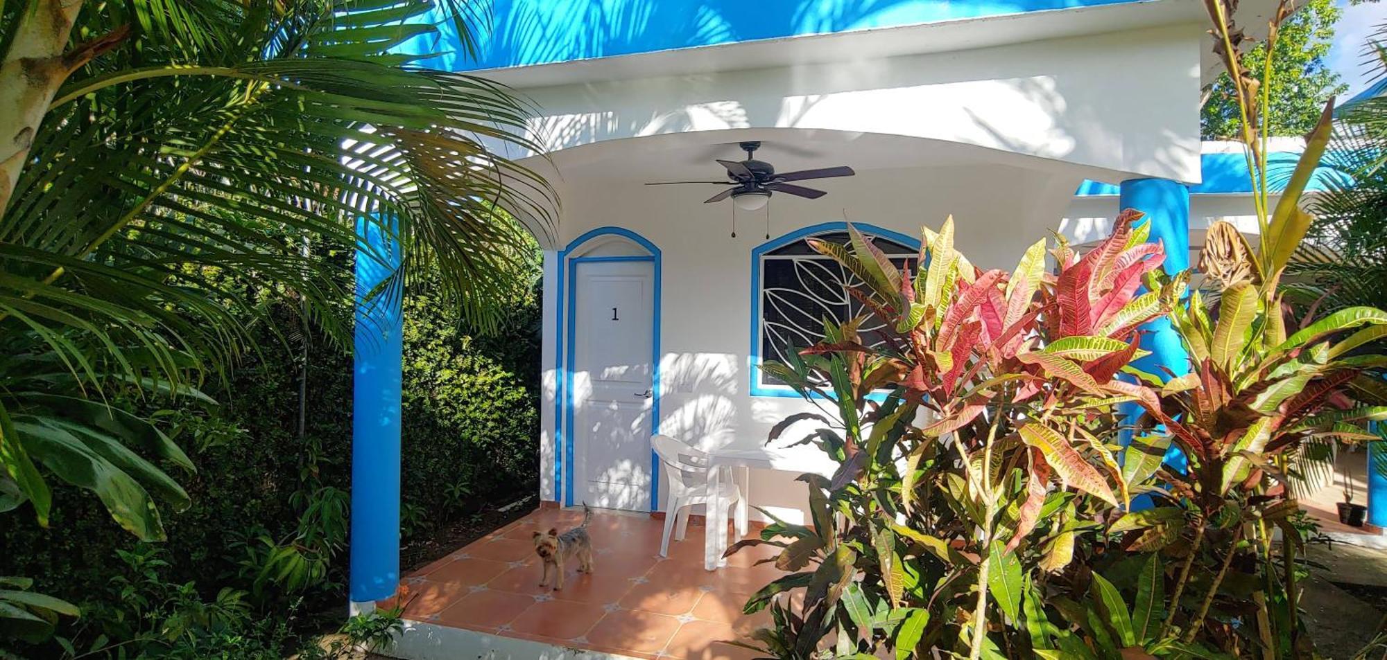 Chambre Bungalow2 Las Terrenas Εξωτερικό φωτογραφία