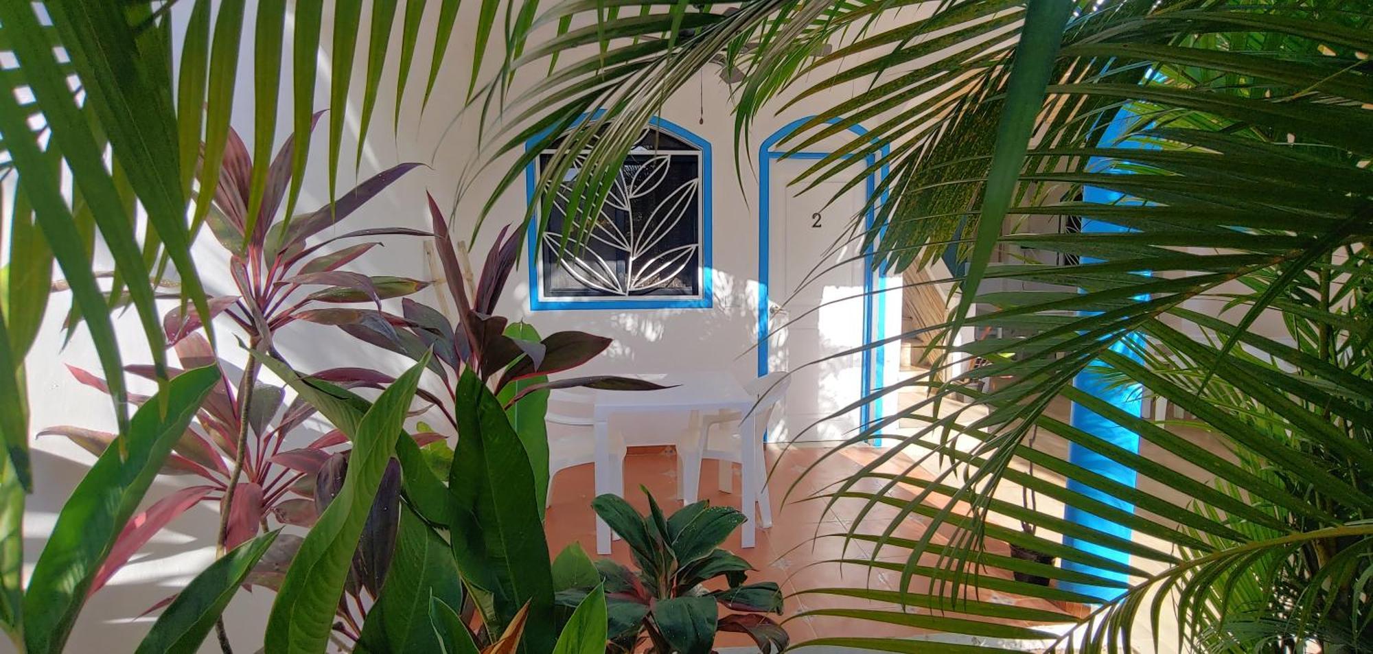 Chambre Bungalow2 Las Terrenas Εξωτερικό φωτογραφία